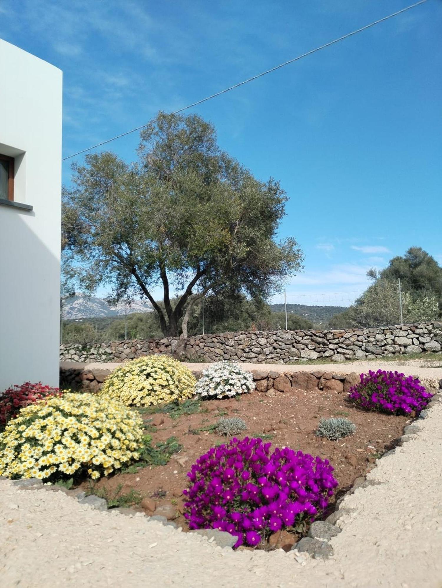 Farmhouse La Croisette - Agriturismo Dorgali Luaran gambar