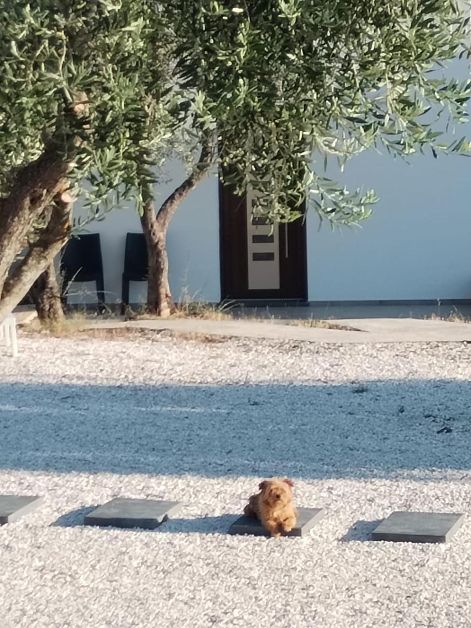 Farmhouse La Croisette - Agriturismo Dorgali Luaran gambar